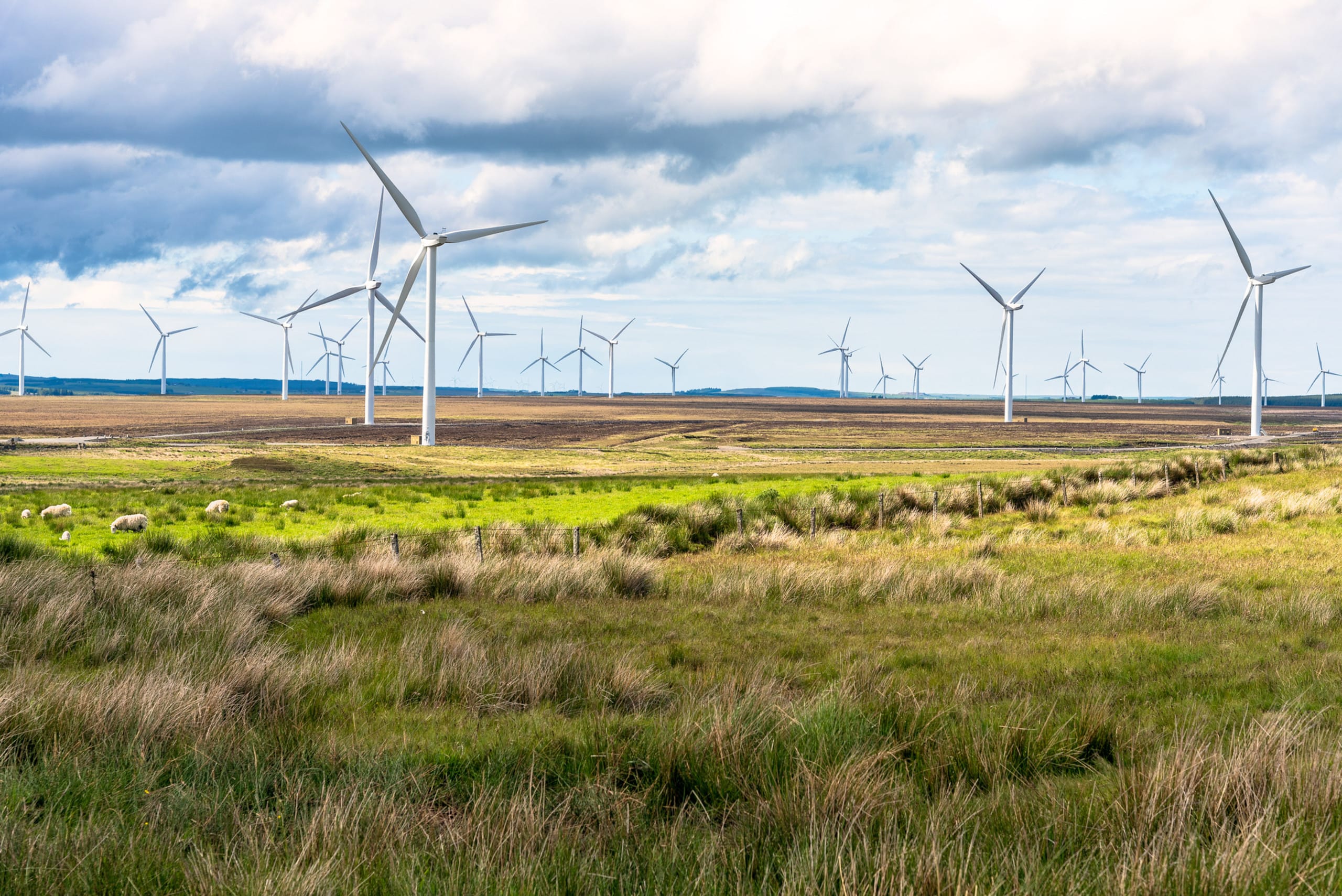 A landscape with multiple wind turbines in an open field under a partly cloudy sky, with sheep grazing in the foreground.