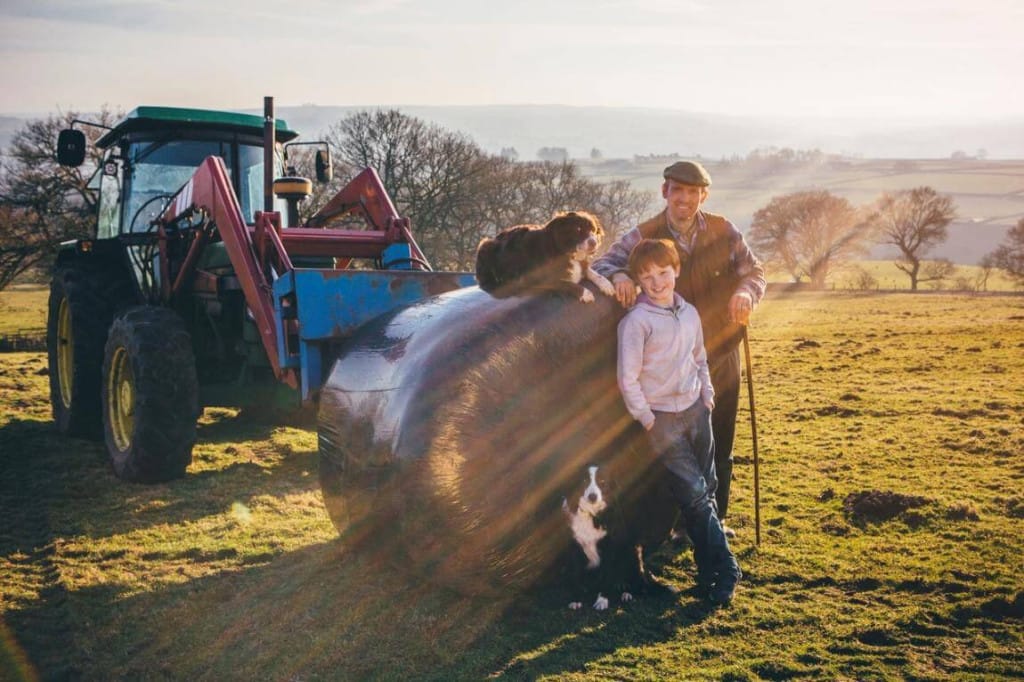 A man and a boy stand by a large hay bale with two dogs. A tractor is nearby in a grassy field with trees and hills in the background. Sunlight streams across the scene.
