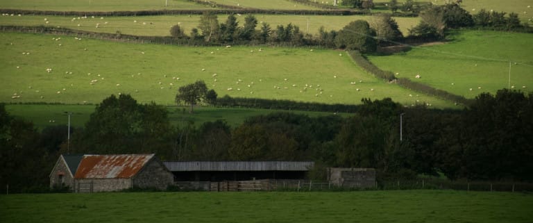 Protecting a tenant from unfair eviction